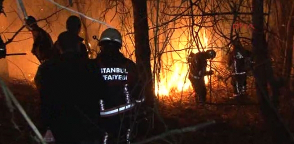 Beykoz da orman yangını