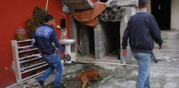 Bin polisle uyuşturucu operasyonu. 31 gözaltı