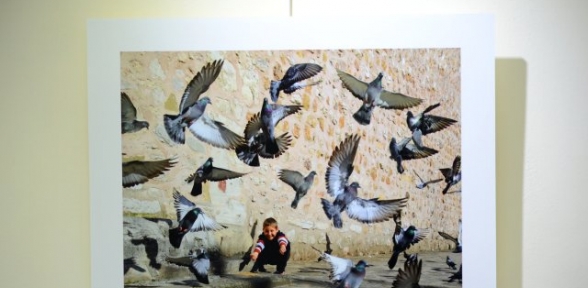 Bu Sergi Sinopa Nükleer Santrale Hayır Diyor