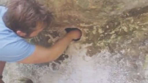 Bulduğu Deliğe Elini Sokunca