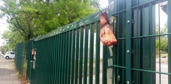 Camiye çirkin eylem