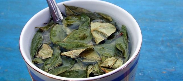 Çaydan Kokain Çıktı 