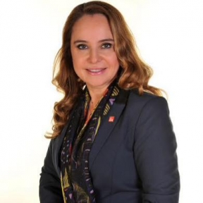 CHPli Cankurtaran Birilerine peşkeş çekilmemeli