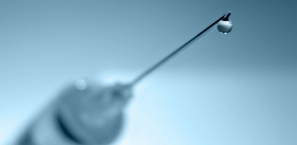 Diyarbakırda domuz gribinden ölenlerin sayısı 3e yükseldi