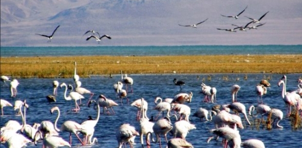 Doğa Turizmine 2 Milyon 650 Bin Tl