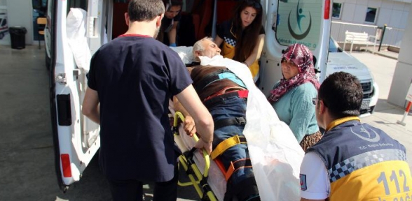 Domuz yerine arkadaşını vurdu