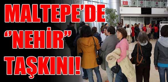 En güzel kuyruk
