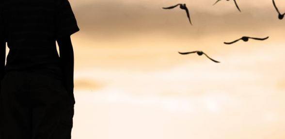 En İyisini Yazın Ödülü Alın