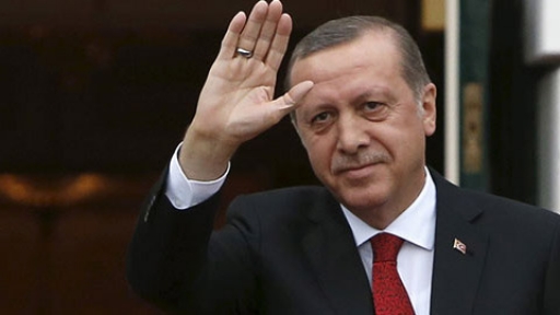 Erdoğan tek başına açacak