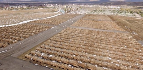 Erzurum da bin 800 mezar kazıldı