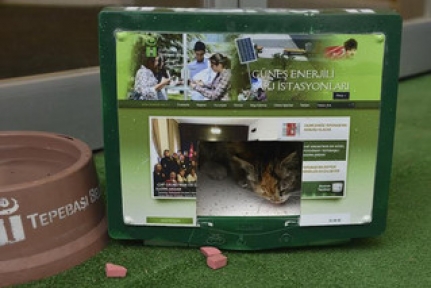 Eski Monitörler Kedi Evi Oldu