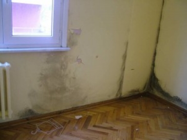 Evde rutubetten kurtulmanın 12 yolu