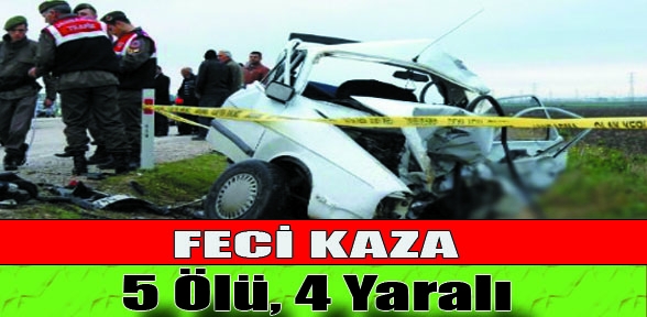 Feci kaza