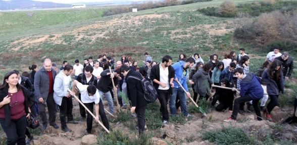 FİDAN DİKİMİ ETKİNLİĞİ