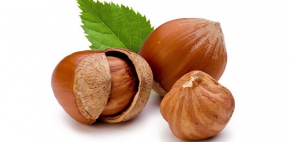 Fındık yasasını çıkarmak zorundayız