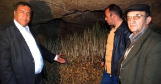 Geçen Yıl 5 Liraya Çıkan Patates Depoda 20 Kuruşa Düştü