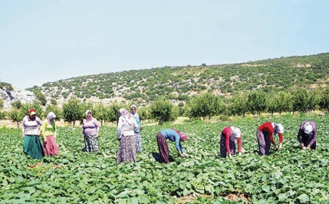 Genç çiftçilere 30 bin lira hibe