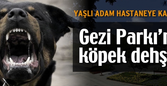 Gezi Parkında köpek dehşeti