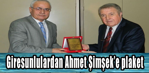 Giresunlulardan Ahmet Şimşeke plaket