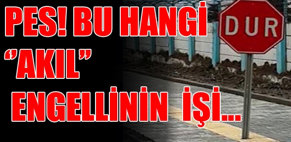 Görenler gözlerine inanamadı