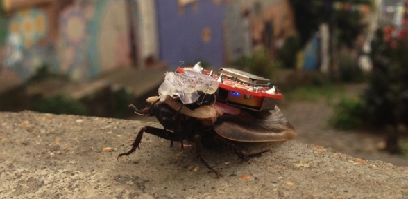 Hamam böceklerini cep telefonu ile kontrol edebilirsiniz