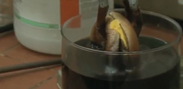 Hamburger midenizde bu hale geliyor