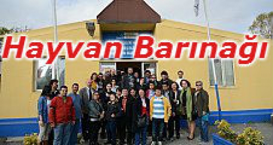 Hayvan Barınağı