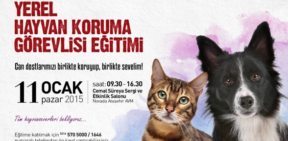 Hayvanseverler bu eğitimde buluşuyor