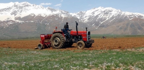 Hazine arazisi müjdesi