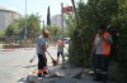 Her Şey Temiz Bir Kartal İçin
