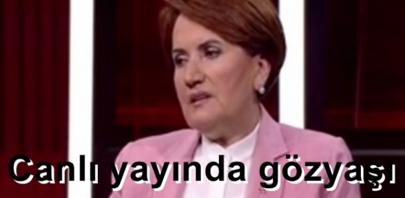 Hiç bir yere gitmeyeceğim