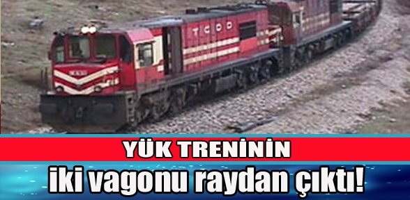 İki vagonu raydan çıktı
