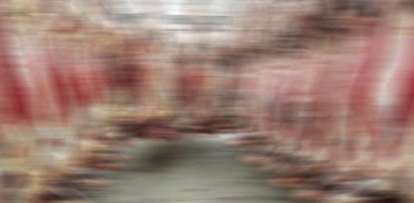 İzmirde kesilen at etleri İstanbula gönderilmiş