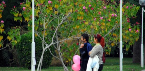 İzmirde sonbahar renkleri