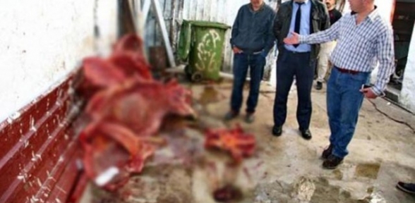 İzmire at eti yedireceklerdi