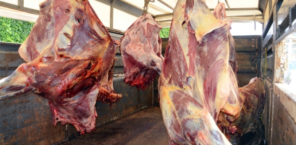 Kaçak et operasyonunda tam 43 ton kaçak et ele geçirildi 