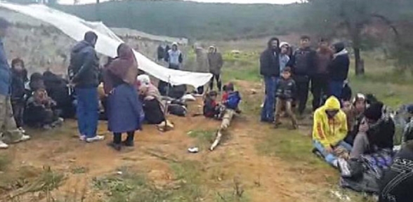 Kaçakları Pendik te ormanlık alana bıraktılar