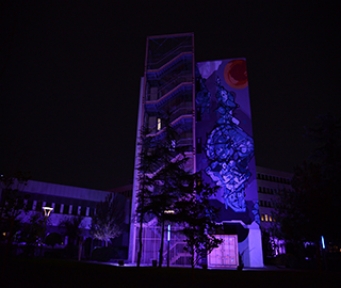 Kadıköy Belediyesi Mora Boyandı