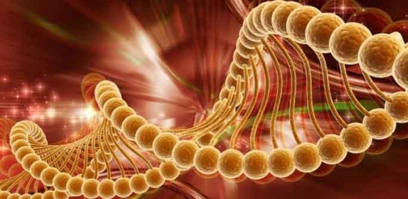 Kanserden korkuyor musunuz O zaman bu haberimizi dikkatli okuyun