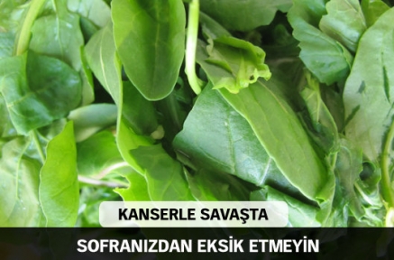 Kansere karşı yiyecekler