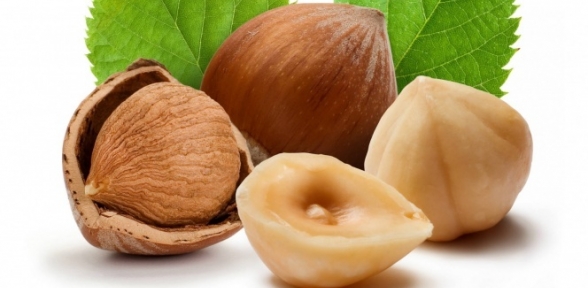 Kar fındığı kış uykusuna yatırdı