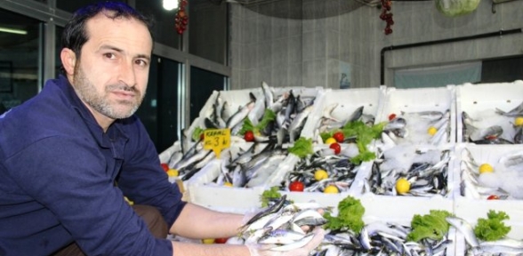 Karadenizli Balıkçılar Sezonu Erken Kapatıyor