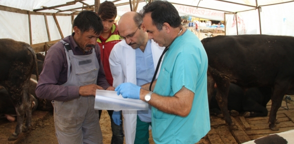 Kartal Belediyesi Kurban Satış ve Kesim Alanları Vatandaşın Hizmetinde