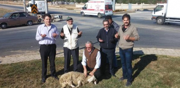 Kazaları önlemek için kurban kestiler