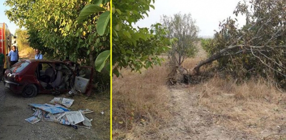 Kazanın faturasını ağaçlara kestiler