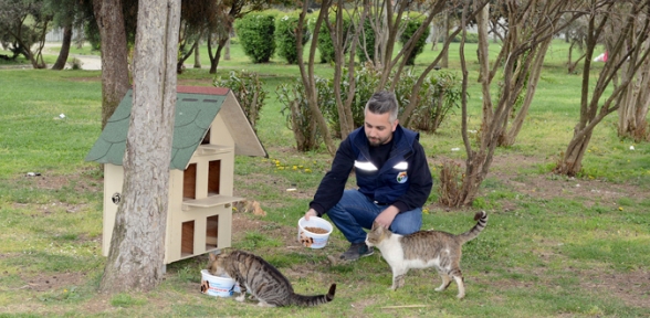 Kedi Evleri Tuzla Sahilinde Minikleri Ağırlamaya Devam Ediyor