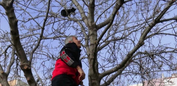 Kedi Kurtarma Operasyonu 