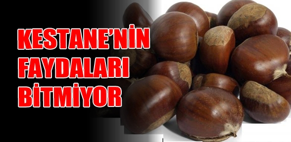 Kestanenin 1 faydası daha orda da