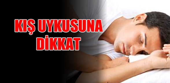KIŞ UYKUSUNA DİKKAT