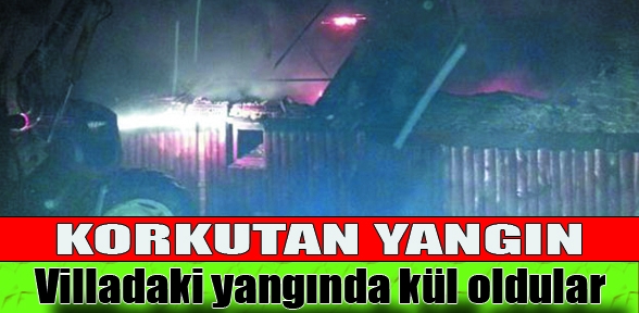 Korkutan yangın